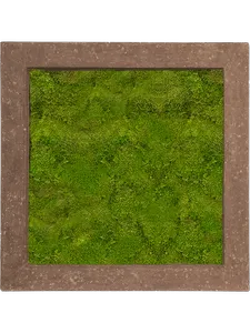 Картина из мха polystone rock 70/70/5 100% flat moss 19367