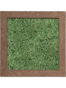 Картина из мха polystone rock 100% reindeer moss 70/70/5 (moss green) 19373