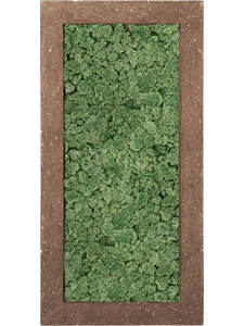 Картина из мха polystone rock 100% reindeer moss 100/50/5 (moss green)