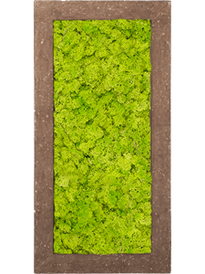 Картина из мха polystone rock 100% reindeer moss 100/50/5 (spring green)