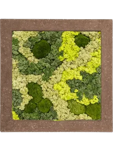 Картина из мха polystone rock 30% ball moss 70% reindeer moss (mix), 19384 19384