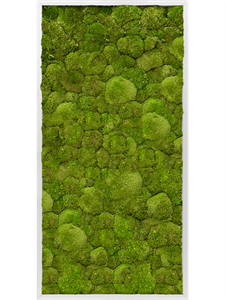 Картина из мха aluminum 60/120/6 100% ball moss