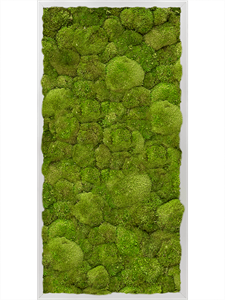Картина из мха aluminum 40/80/6 100% ball moss