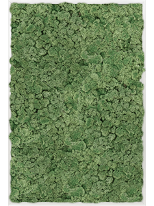 Картина из мха aluminum 100% reindeer moss 80/120/6 (moss green)