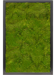 Картина из мха mdf ral 9005 satin gloss 100% flat moss
