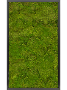Картина из мха mdf ral 9005 satin gloss 100% flat moss