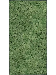 Картина из мха stiel l ral 7016 matt 100% reindeer moss (moss green), 19609 19609