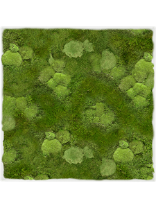 Картина из мха stiel l ral 9010 matt 70/70/6 30% ball- and 70% flat moss
