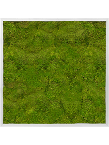 Картина из мха aluminum 100% flat moss (искусственная) Nieuwkoop Europe