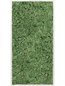 Картина из мха aluminum 100% reindeer moss green 60/120/6 (искусственная) Nieuwkoop Europe