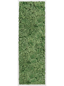 Картина из мха aluminum 100% reindeer moss green 40/120/6 (искусственная) Nieuwkoop Europe