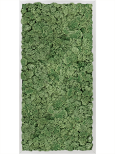 Картина из мха aluminum 100% reindeer moss green 40/80/6 (искусственная) Nieuwkoop Europe
