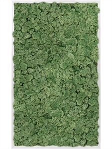 Картина из мха aluminum 100% reindeer moss green 60/100/6 (искусственная) Nieuwkoop Europe