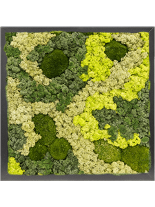 Картина из мха mdf ral 9005 satin gloss 30% ball moss 70% reindeer moss mix 40/40/6 (искусственная) Nieuwkoop Europe