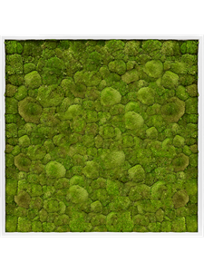 {{photo.Alt || photo.Description || 'Картина из мха mdf ral 9010 satin gloss 100% ball moss (искусственная) Nieuwkoop Europe'}}