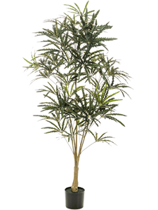 Плеранда elegantissima 145 (искусственная) Nieuwkoop Europe