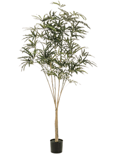 Плеранда elegantissima 195 (искусственная) Nieuwkoop Europe