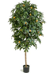 Мандариновое дерево (искусственное) Nieuwkoop Europe