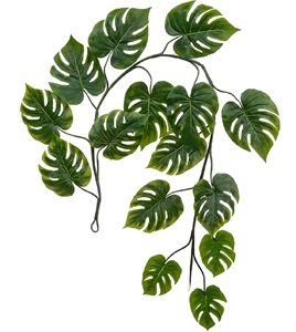 Монстера Giant лиана 15 листов Sensitive Botanic (искусственная) Treez Collection