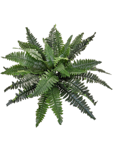 Папоротник Бостон 70/35 (искусственный) Nieuwkoop Europe 37319