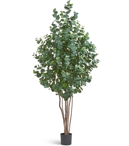 Эвкалипт серебристый многоствольный (искусственный) Treez Collection 32717