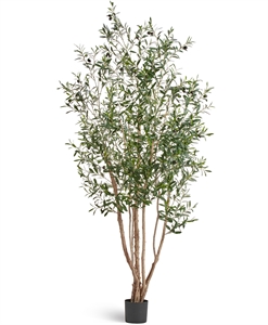 Олива Вайлд с плодами (искусственная) Treez Collection 38251