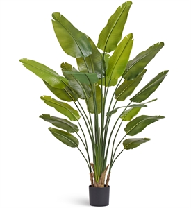 Стрелиция New Style с UV-защитой (Sensitive Botanic) 180 искусственная (Treez Collection) 38204