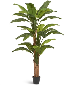 Банановое дерево 245/150 (искусственное) Treez Collection
