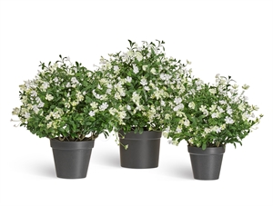 Альпийское разнотравье с белыми цветами (искусственное) Treez Collection 38987