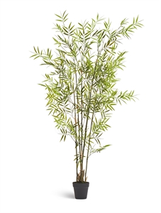 Бамбук японский Style (с UV-фильтром) (искусственный) Treez Collection 39303