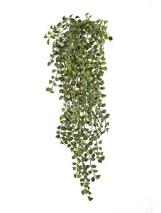 Дисхидия ампельная (искусственная) Treez Collection 39314