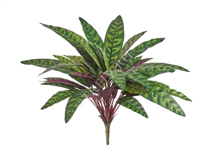 Калатея узколистная Лансифолия куст (искусственная) Treez Collection 39317