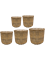 Кашпо Jet pot (set of 5) (Nieuwkoop Europe) 39620 - фото 100230