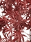 Клён японский Вайлд красный (искусственный) Treez Collection 39298 - фото 100402