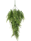 Адиантум ампельный ветка (искусственная) Nieuwkoop Europe 41371 - фото 102611