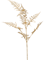Аспарагус ветка золотая (искусственная) Nieuwkoop Europe 41383 - фото 102623