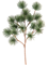 Ветка сосны бонсай (искусственная) Nieuwkoop Europe 41395 - фото 102635