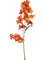 Бугенвиллея ветка оранжевая (искусственная) Nieuwkoop Europe 41399 - фото 102639