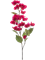 Бугенвиллея ветка фуксия (искусственная) Nieuwkoop Europe, 41400 41400 - фото 102640