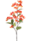 Бугенвиллея ветка оранжевая (искусственная) Nieuwkoop Europe 41401 - фото 102641