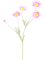 Космея розовая (искусственная) Nieuwkoop Europe 41433 - фото 102673