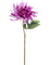 Георгин цветок фиолетовый (искусственный) Nieuwkoop Europe 41440 - фото 102680