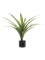 Драцена (искусственная) Nieuwkoop Europe, 41451 41451 - фото 102691