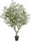 Эвкалипт дерево 240 cm (искусственное) Nieuwkoop Europe 41461 - фото 102701