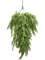 Папоротник ветка ампельная (fr/uv) (искусственная) Nieuwkoop Europe 41479 - фото 102796