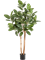 Фикус Одри (искусственный) Nieuwkoop Europe, 41486 41486 - фото 102803