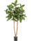 Фикус Одри (искусственный) Nieuwkoop Europe, 41487 41487 - фото 102804