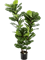 Фикус Лирата 90 cm (искусственный) Nieuwkoop Europe 41499 - фото 102816