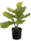Фикус лировидный (искусственный) Nieuwkoop Europe 41504 - фото 102821