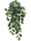 Фиттония ветка ампельная (искусственная) Nieuwkoop Europe, 41507 41507 - фото 102824